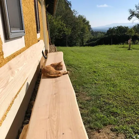 Holiday home Foidlhaus
