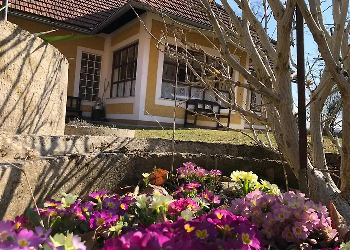 Foidlhaus Holiday home Bierbaum am Auersbach